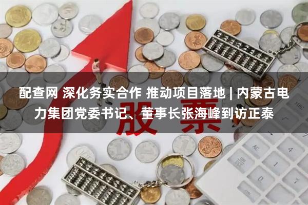 配查网 深化务实合作 推动项目落地 | 内蒙古电力集团党委书记、董事长张海峰到访正泰