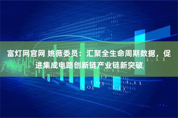 富灯网官网 姚薇委员：汇聚全生命周期数据，促进集成电路创新链产业链新突破